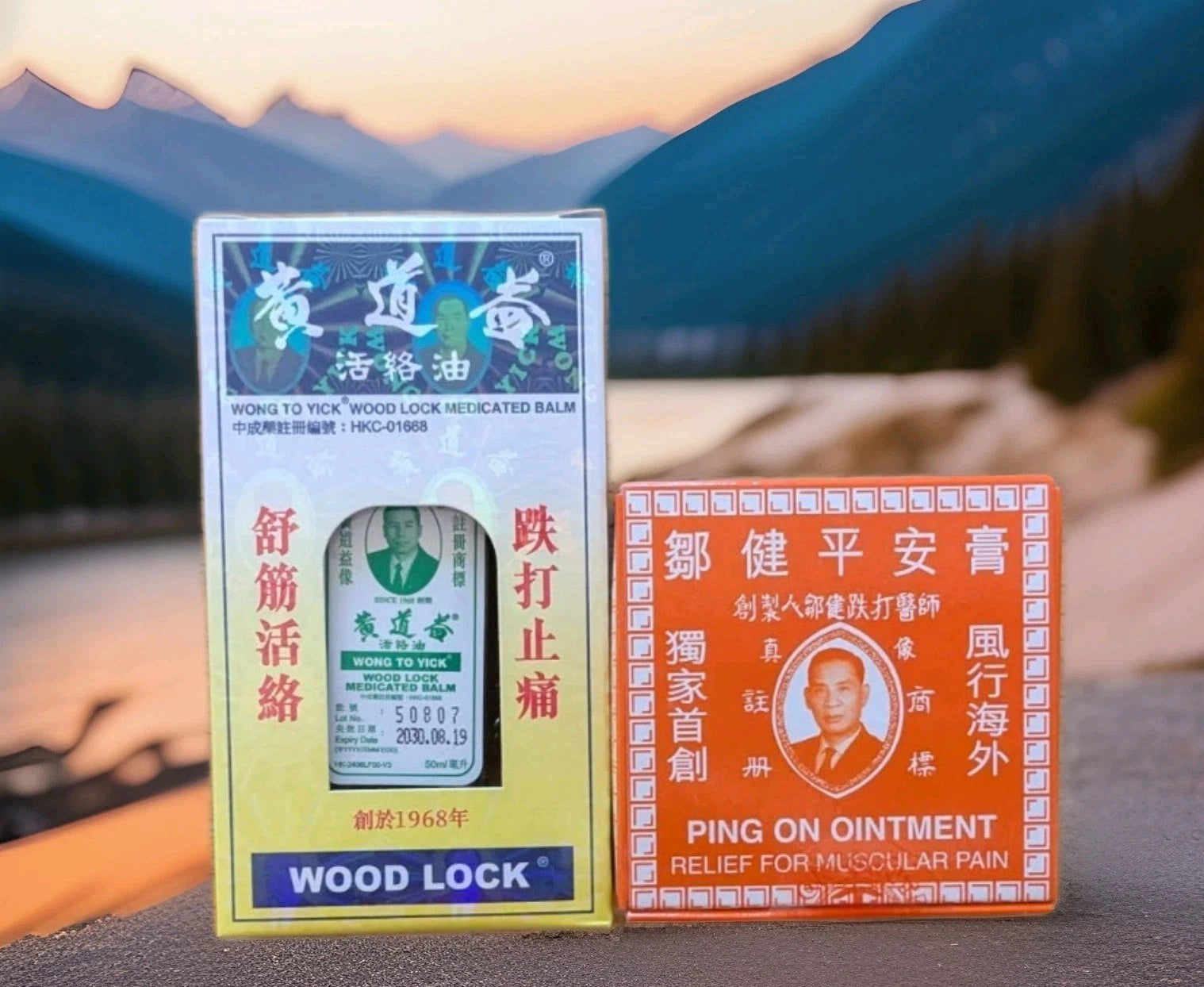Wong To Yick Wood Lock Medicated Oil for Pain Relief + Ping On Ointment UK
