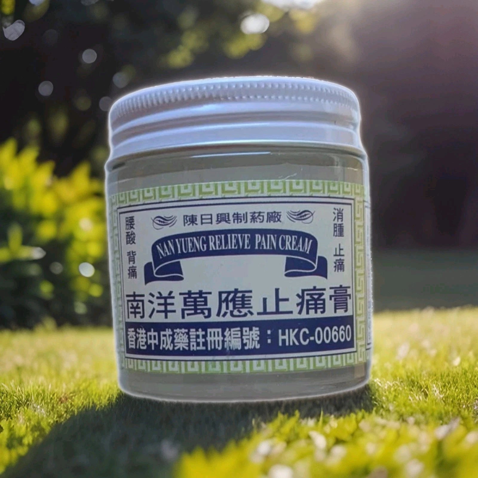CHAN YAT HING - Nan Yueng Relieve Pain Cream 73g